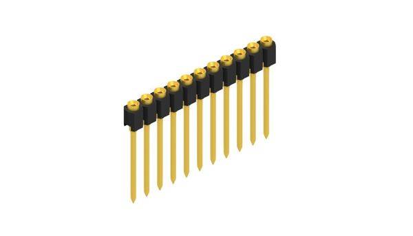 Fischer Elektronik Buchsenleiste (Präzision) Anzahl Reihen: 1 10040323 10St.