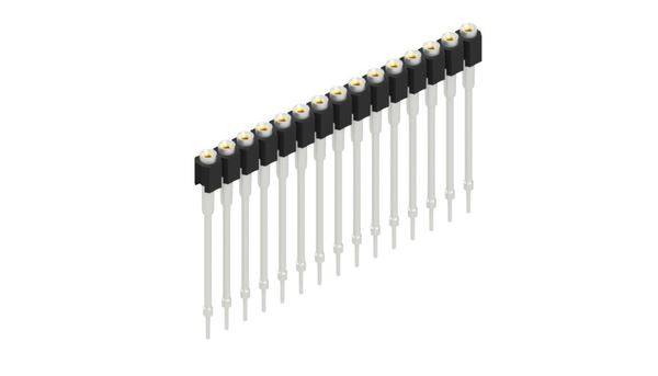 Fischer Elektronik Buchsenleiste (Präzision) Anzahl Reihen: 1 10040716 10St.