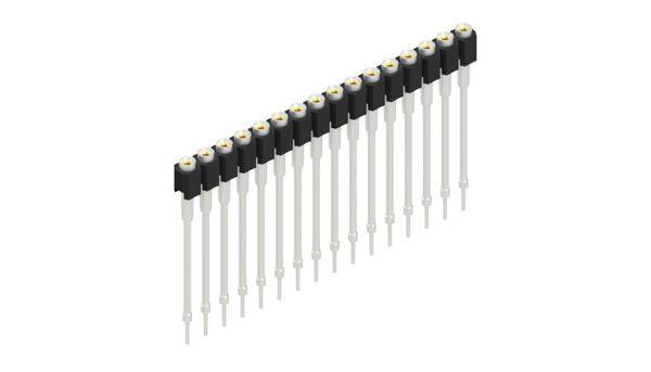 Fischer Elektronik Buchsenleiste (Präzision) Anzahl Reihen: 1 10040717 10St.