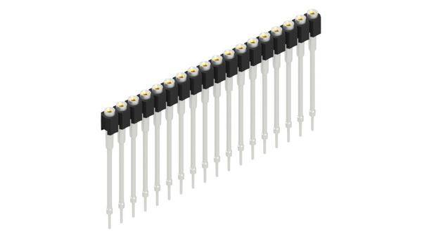 Fischer Elektronik Buchsenleiste (Präzision) Anzahl Reihen: 1 10040719 10St.