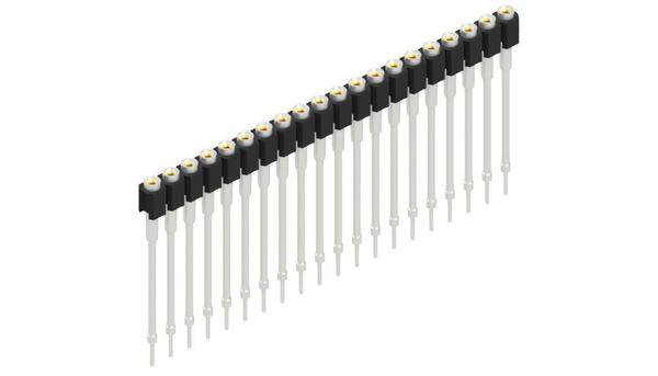 Fischer Elektronik Buchsenleiste (Präzision) Anzahl Reihen: 1 10040723 10St.