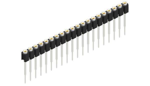 Fischer Elektronik Buchsenleiste (Präzision) Anzahl Reihen: 1 10040784 10St.