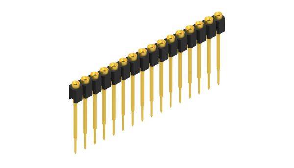 Fischer Elektronik Buchsenleiste (Präzision) Anzahl Reihen: 1 10040776 10St.