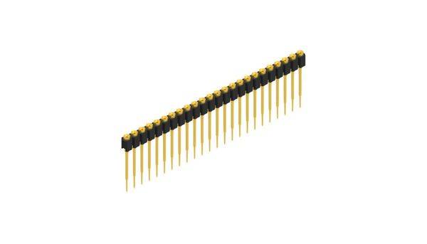 Fischer Elektronik Buchsenleiste (Präzision) Anzahl Reihen: 1 10040789 10St.