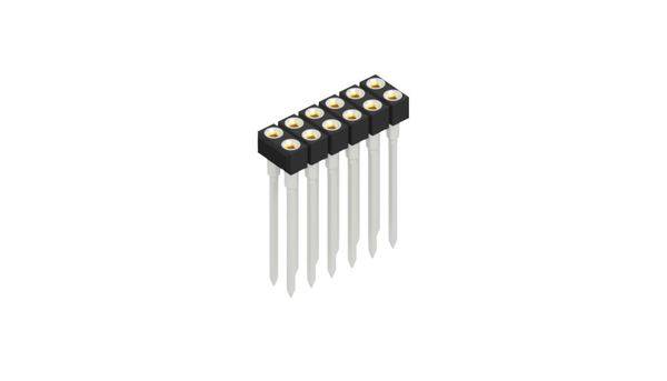 Fischer Elektronik Buchsenleiste (Präzision) Anzahl Reihen: 2 10041611 10St.
