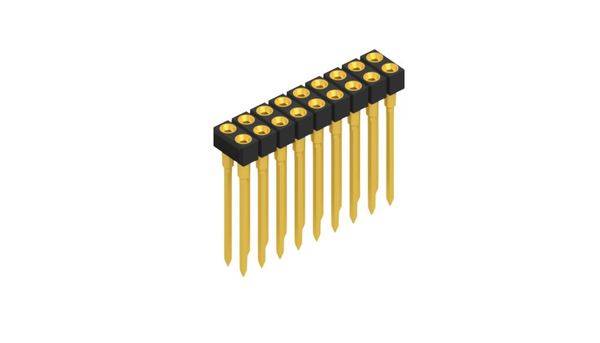 Fischer Elektronik Buchsenleiste (Präzision) Anzahl Reihen: 2 10041616 10St.