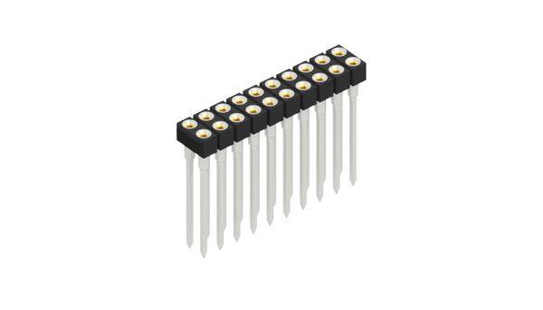 Fischer Elektronik Buchsenleiste (Präzision) Anzahl Reihen: 2 10041619 10St.