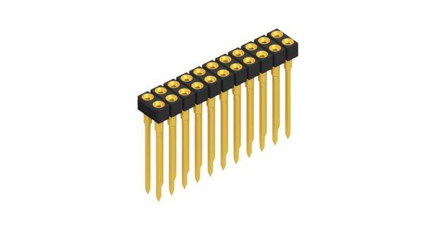 Fischer Elektronik Buchsenleiste (Präzision) Anzahl Reihen: 2 10041620 10St.