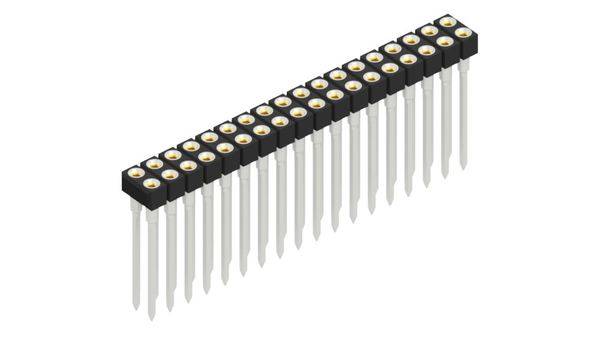 Fischer Elektronik Buchsenleiste (Präzision) Anzahl Reihen: 2 10041635 10St.