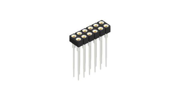 Fischer Elektronik Buchsenleiste (Präzision) Anzahl Reihen: 2 10042047 10St.