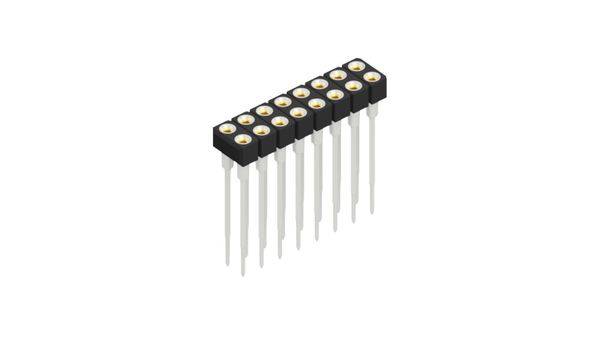 Fischer Elektronik Buchsenleiste (Präzision) Anzahl Reihen: 2 10042055 10St.