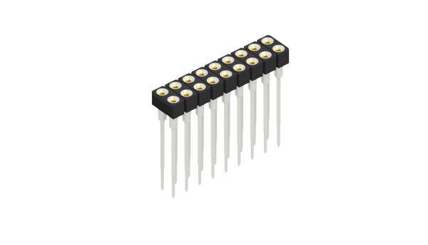 Fischer Elektronik Buchsenleiste (Präzision) Anzahl Reihen: 2 10042059 10St.
