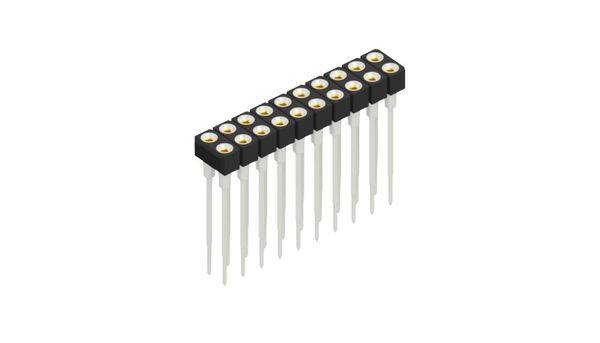 Fischer Elektronik Buchsenleiste (Präzision) Anzahl Reihen: 2 10042063 10St.