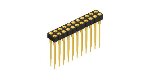 Fischer Elektronik Buchsenleiste (Präzision) Anzahl Reihen: 2 10042065 10St.