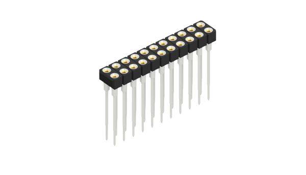 Fischer Elektronik Buchsenleiste (Präzision) Anzahl Reihen: 2 10042067 10St.
