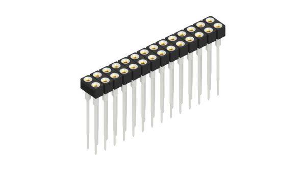 Fischer Elektronik Buchsenleiste (Präzision) Anzahl Reihen: 2 10042079 10St.