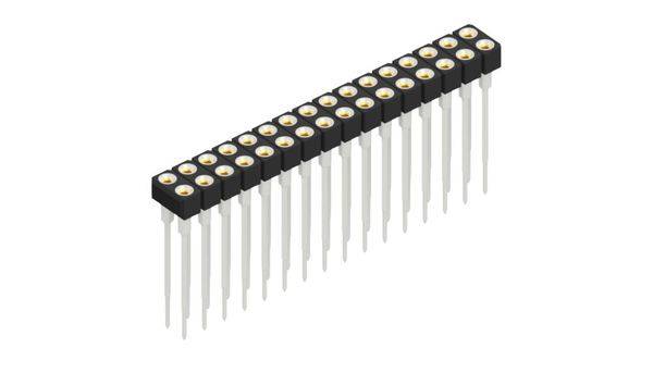 Fischer Elektronik Buchsenleiste (Präzision) Anzahl Reihen: 2 10042086 10St.