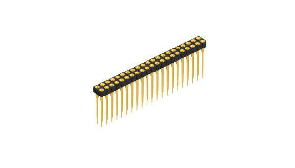 Fischer Elektronik Buchsenleiste (Präzision) Anzahl Reihen: 2 10042104 10St.