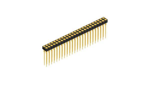 Fischer Elektronik Buchsenleiste (Präzision) Anzahl Reihen: 2 10042116 10St.