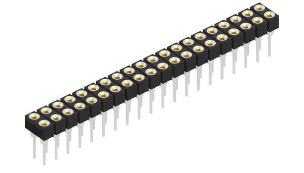 Fischer Elektronik Buchsenleiste (Präzision) Anzahl Reihen: 2 10042514 10St.