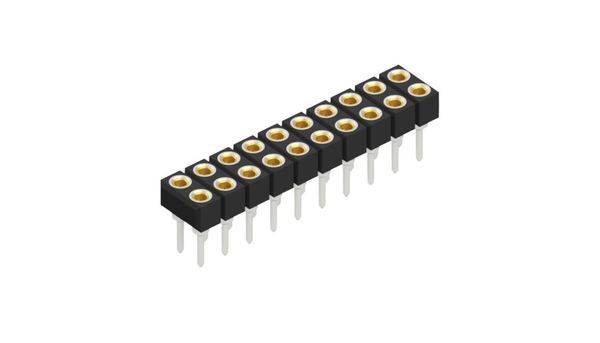 Fischer Elektronik Buchsenleiste (Präzision) Anzahl Reihen: 2 10042615 10St.