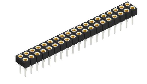 Fischer Elektronik Buchsenleiste (Präzision) Anzahl Reihen: 2 10042624 10St.