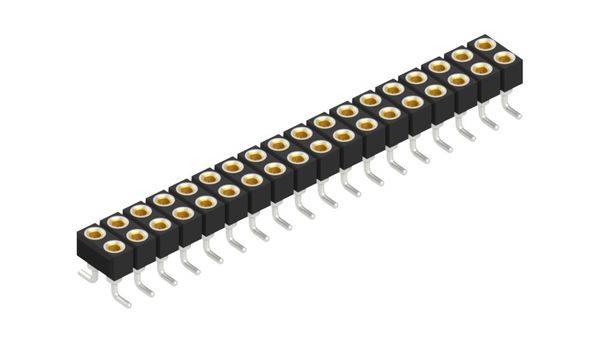 Fischer Elektronik Buchsenleiste (Präzision) Anzahl Reihen: 2 10042661 10St.