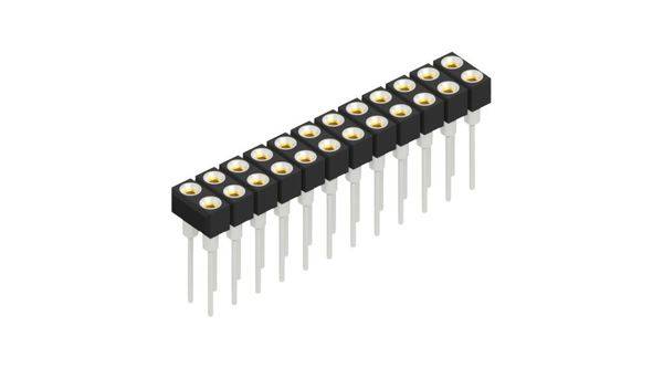 Fischer Elektronik Buchsenleiste (Präzision) Anzahl Reihen: 2 10131669 10St.