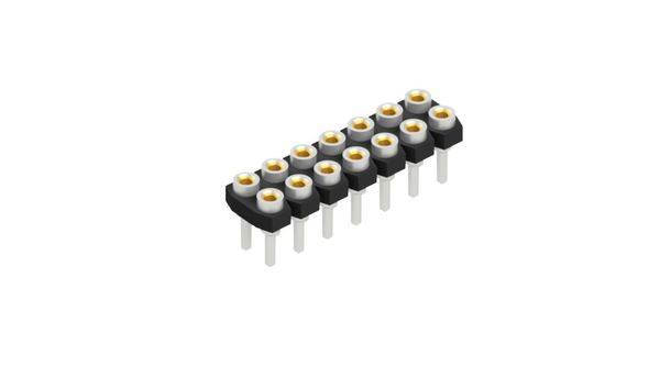 Fischer Elektronik Buchsenleiste (Präzision) Anzahl Reihen: 2 10043338 10St.