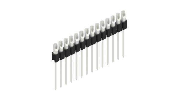 Fischer Elektronik Stiftleiste (Präzision) Anzahl Reihen: 1 10040531 10St.