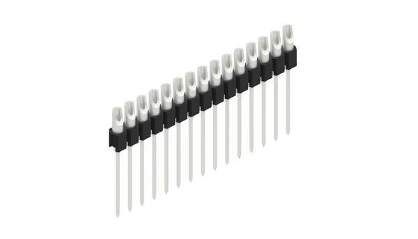 Fischer Elektronik Stiftleiste (Präzision) Anzahl Reihen: 1 10040533 10St.
