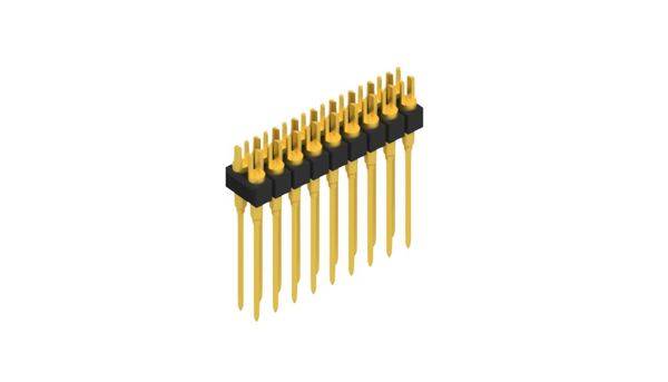 Fischer Elektronik Stiftleiste (Präzision) Anzahl Reihen: 2 10041716 10St.