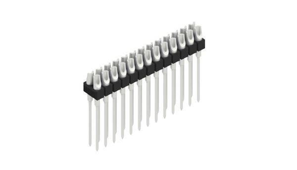 Fischer Elektronik Stiftleiste (Präzision) Anzahl Reihen: 2 10041865 10St.