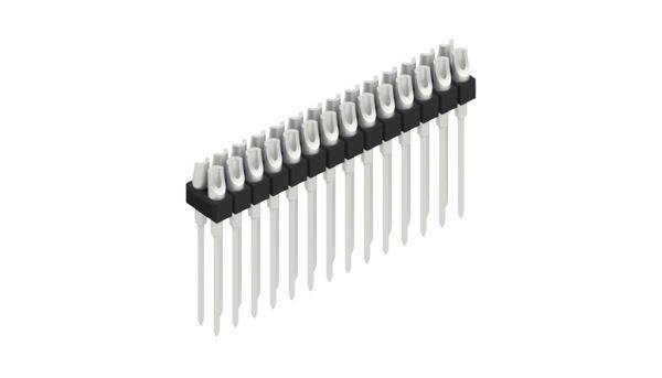 Fischer Elektronik Stiftleiste (Präzision) Anzahl Reihen: 2 10041866 10St.
