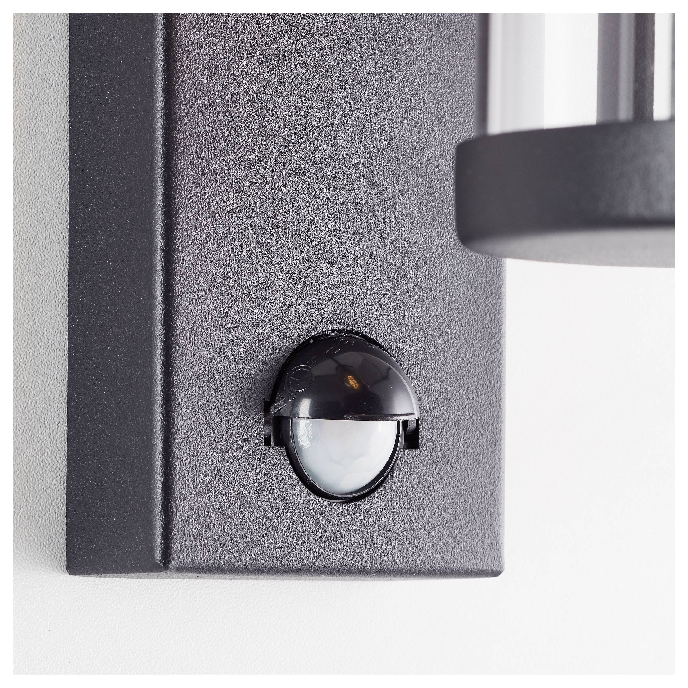 Brilliant Sidney 44291/06 Außenwandleuchte E27 Schwarz, Transparent