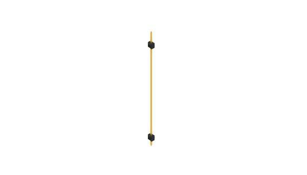 Fischer Elektronik Stiftleiste (Standard) Anzahl Reihen: 1 SL55251G 10St.