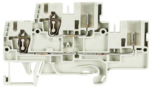 Wieland Electric 56.703.3455.0 Installationsetagenklemme Steckanschluss, Steckanschluss Grau 100 St
