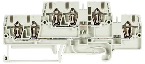 Wieland Electric 56.703.6055.0 Installationsetagenklemme Federzuganschluss Grau 50 St.