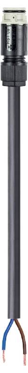 Wieland Electric 41.427.1037.8 Anschlussleitung Schwarz