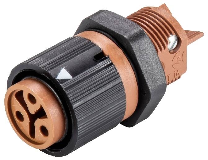 Wieland Electric 46.031.5050.4 Geräteanschluss