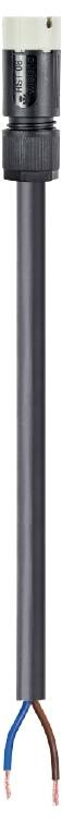 Wieland Electric 41.427.2538.8 Anschlussleitung Schwarz