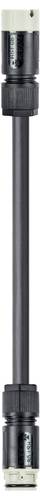 Wieland Electric 41.437.1032.8 Verbindungsleitung Schwarz