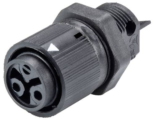 Wieland Electric 46.031.5054.1 Geräteanschluss