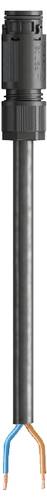 Wieland Electric 41.427.3033.1 Anschlussleitung Schwarz