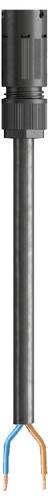 Wieland Electric 41.427.0534.1 Anschlussleitung Schwarz
