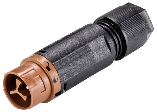 Wieland Mini Steckverbinder RST16I3 S S1 ZT4S L BR 3-polig Steckerteil Kodierung signalbraun Gehäuse schwarz