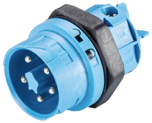 Wieland Electric 46.052.5053.9 Geräteanschluss