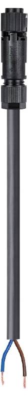 Wieland Electric 46.422.0503.1 Anschlussleitung Schwarz