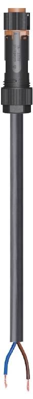 Wieland Electric 46.423.2037.4 Anschlussleitung Schwarz