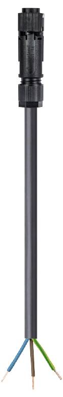 Wieland Electric 46.432.3003.1 Anschlussleitung Schwarz